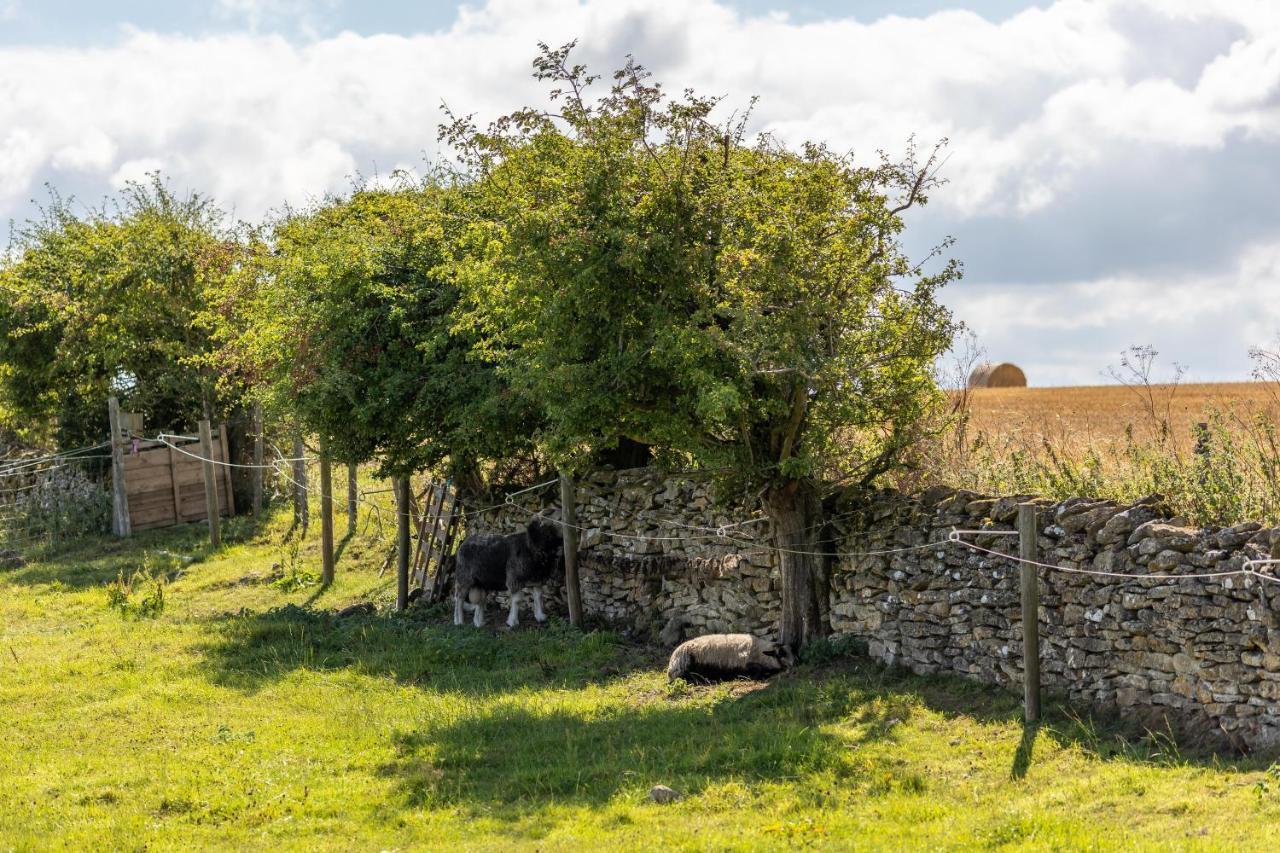 Luxury Farmhouse With Stunning Views And Hot Tub Ebberston エクステリア 写真